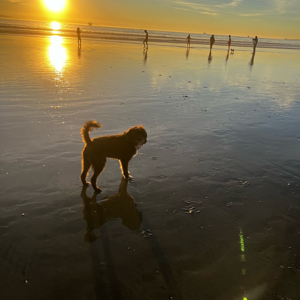 Meet your Posher, liv